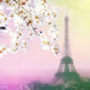 Meet your Posher, Eden